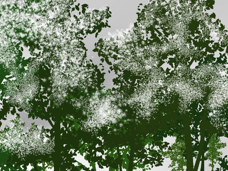 冬の森のイラスト 冬,森,風景のイラスト素材