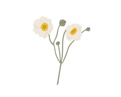 ポピー01 ポピー,花,植物,園芸,自然,手書き,ゆるいのイラスト素材