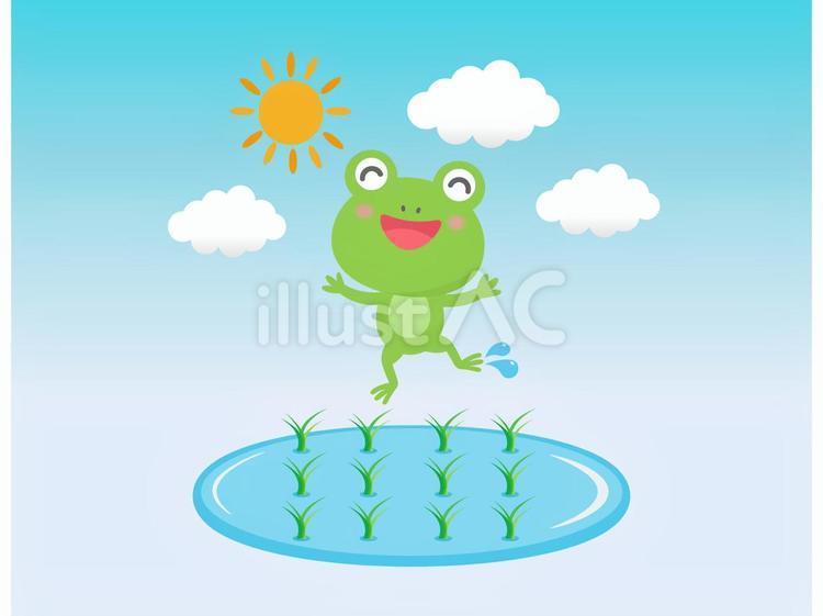 田んぼと蛙2 田んぼ,蛙,雨蛙のイラスト素材