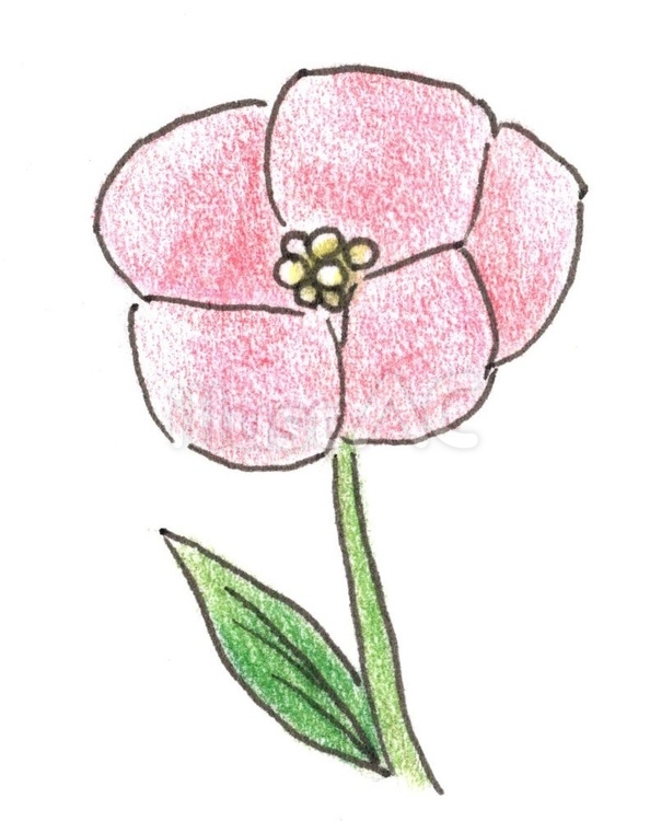 花　かわいい 植物,赤,手書きのイラスト素材