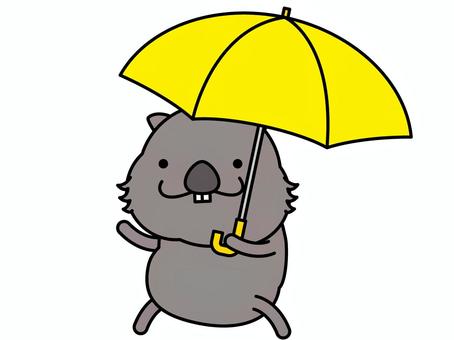 Wombat's umbrella, wombat, animal, umbrella, JPG and PNG