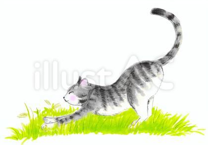 背伸びしているグレーの猫