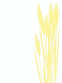 小麦色の麦穂シルエット　mugi025 麦穂,小麦色,リアル,シルエット,ナチュラル,お洒落,自然,植物,大人っぽい,枠のイラスト素材