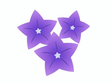 桔梗 ベクター,桔梗,和柄,シンプル,和風,夏,秋,イラスト,シルエット,6月のイラスト素材