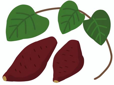 地瓜和葉子, 红薯, 叶, 土豆, JPG 和 PNG