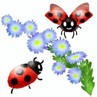 Illustration, ladybug, insect, insect, JPG and PNG