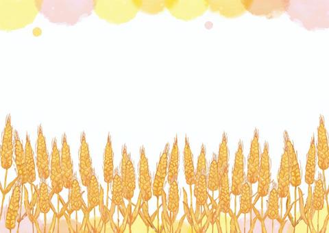 麦畑01A 小麦,フレーム,背景,秋,水彩,穀物,麦,収穫,自然,農業のイラスト素材