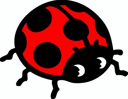 てんとう虫 昆虫,てんとうむし,てんとう虫,天道虫,七星,ナナホシ,ベクターのイラスト素材