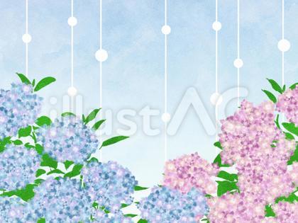 あじさい背景 雨ドロップあり