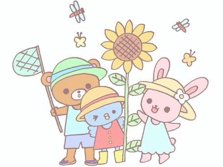 夏を楽しむかわいい動物たち 夏,夏休み,動物,８月,７月,９月,うさぎ,くま,ペンギン,子供向けのイラスト素材