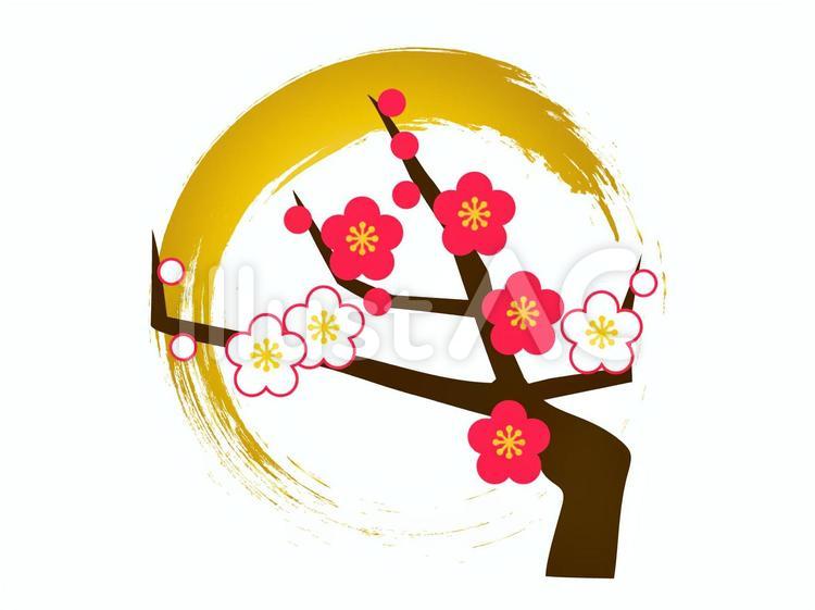 紅白梅と金色の円 輪,丸,輪っかのイラスト素材