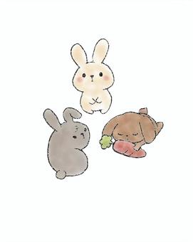 うさぎの集い 動物,ゆるふわ,ゆるい,かわいい,うさぎ,複数,にんじん,挿絵,三匹のイラスト素材