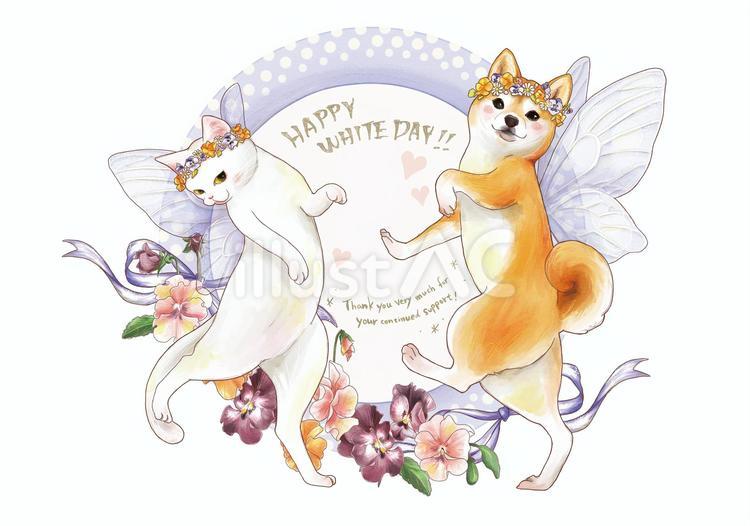 シバイヌとシロネコのホワイトデー大作戦！ 柴,犬,白のイラスト素材