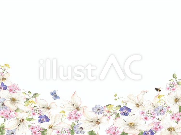 花枠２８１－白のハナミズキとフウロソウ 背景,花枠,花のイラスト素材