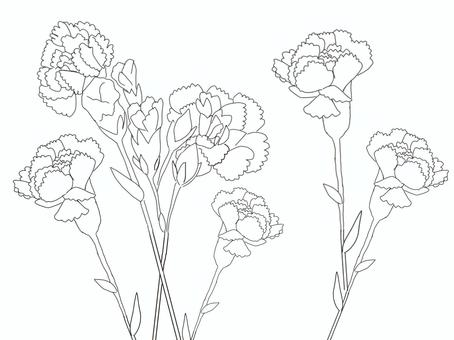塗り絵カーネーション線画 カーネーション,線画,塗り絵,モノクロ,花,茎,葉,つぼみ,複数のイラスト素材