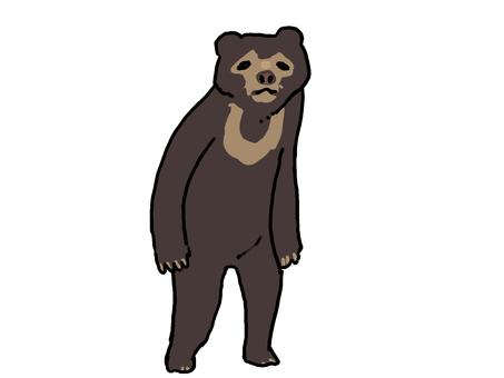 マレーグマ 立つ マレーグマ 立つ マレーグマ,熊,立つのイラスト素材