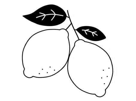 シンプルなレモンのモノクロイラスト 2つ レモン,夏,檸檬,果物,線画,柑橘類,食べ物,フルーツ,葉っぱ,葉のイラスト素材