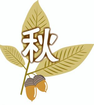 秋イメージどんぐり　