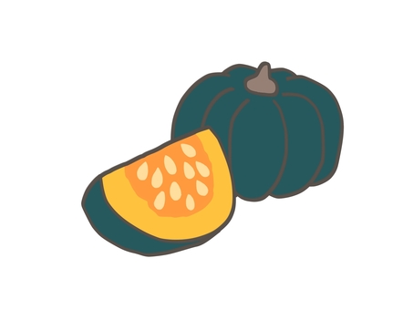 緑のかぼちゃ かぼちゃ,緑,カット,野菜,根菜,冬至,食べ物,食料,ハロウィン,農家のイラスト素材