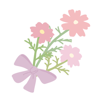 斜め向きのコスモスの花リボン付き コスモス,花,植物,秋,きれい,かわいい,季節,秋桜,リボン,プレゼントのイラスト素材