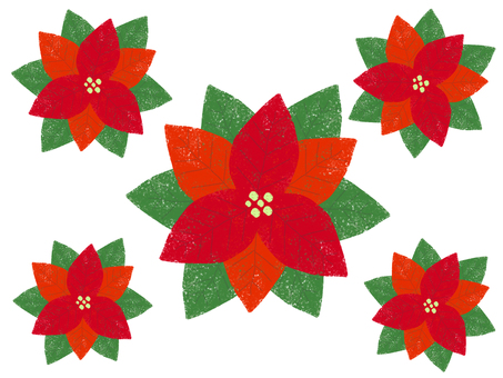 ポインセチア B