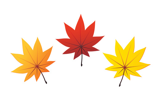 Autumn leaves, JPG, PNG and AI Autumn leaves, , JPG, PNG and AI