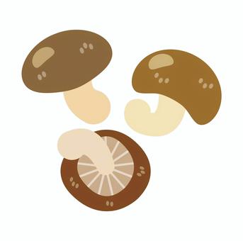 しいたけ しいたけ,きのこ,食べ物,シンプル,食材,きのこ狩り,秋のイラスト素材