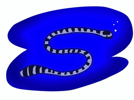 海蛇 ウミヘビ,動物,生き物,海,ヘビ,泳ぐ,有毒,オリジナル,シンプル,イラストのイラスト素材