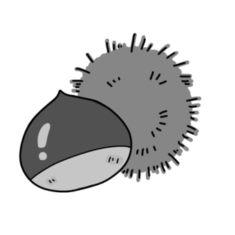 栗（白黒） 栗,秋,イガイガ,剥き栗,甘栗,茶色,植物,木,木のみ,栗の木のイラスト素材