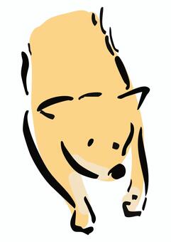 やる気のない柴犬 柴犬,犬,やる気,ない,脱力,だらしない,無気力,かわいい,わんこ,ペットのイラスト素材