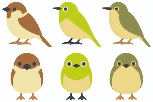 小鳥（スズメ・メジロ・ウグイス）正面・横 小鳥,鳥,雀,目白,鶯,スズメ,メジロ,ウグイス,かわいい,挿絵のイラスト素材