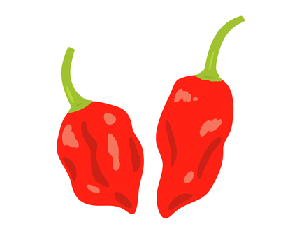 ブート・ジョロキア ブート・ジョロキア ブート・ジョロキア,野菜,食べ物,食材,料理,レシピ,手描き風,ラフ,かわいい,献立のイラスト素材