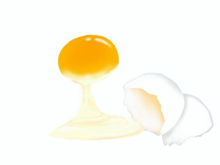 卵の分離 卵,黄身,卵黄,白身,分離,殻,料理,食材,調理,食べ物のイラスト素材