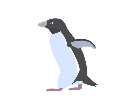 アデリーペンギン（歩く・主線なし） ペンギン,アデリーペンギン,鳥,動物,南極,歩く,主線なしのイラスト素材