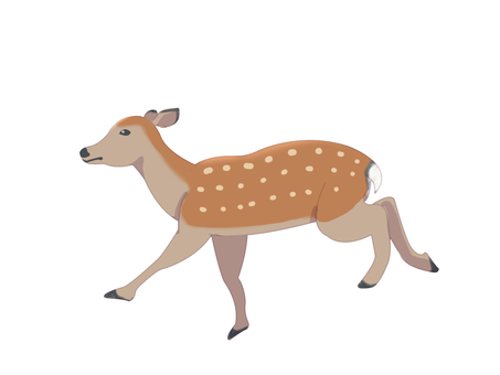ニホンジカ(走る・主線なし) ニホンジカ(走る・主線なし) ニホンジカ,鹿,動物,奈良,走る,主線なしのイラスト素材