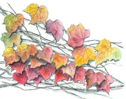 ivy with red leaves, dead leaves, autumn leaves, ivy, JPG and PNG