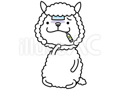 アルパカさん 病気