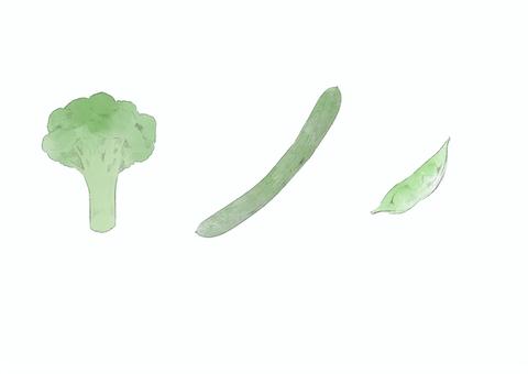 野菜イラスト2 野菜,ブロッコリー,きゅうり,キュウリ,胡瓜,枝豆,鉛筆風,水彩,食材,食べ物のイラスト素材