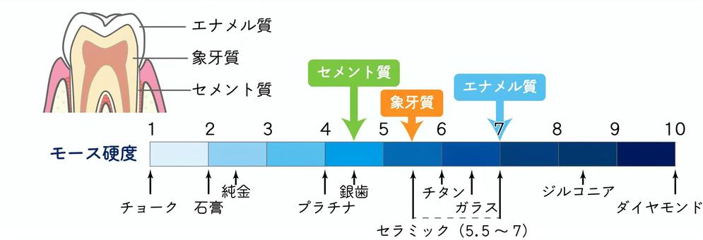 歯の硬さ_モース硬度 歯,硬さ,モース硬度,エナメル質,象牙質,ダイヤモンド,ジルコニア,セラミック,セメント質のイラスト素材