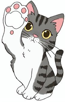 肉球を見せる猫（肉球の部分は透過） 猫,肉球,可愛い,お座り,ペットのイラスト素材