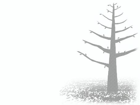 冬の落葉樹のイラスト 冬,冬景色,落葉樹,落ち葉,葉,葉っぱ,枯れ葉,散る,冬木,裸木のイラスト素材