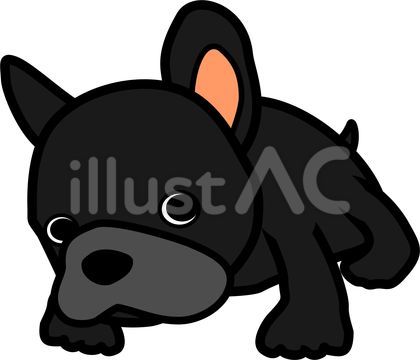 フレンチブルドッグ04