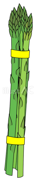 アスパラガス-シールでまとめ アスパラガス,野菜,新鮮のイラスト素材
