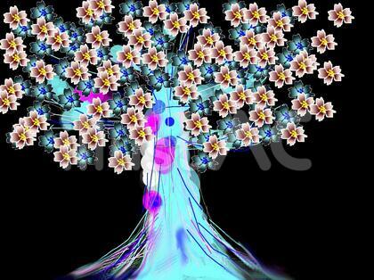 桜
