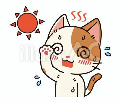 暑さに負けて目が回っている可愛いぶち猫