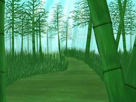 竹林 竹林,笹,竹やぶ,日本,京都,緑,和風,自然,小道,風景のイラスト素材