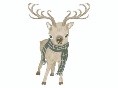 マフラーを巻いたトナカイ マフラーを巻いたトナカイ トナカイ,動物,マフラー,生き物,クリスマス,哺乳類,冬,ファッション,かわいい,水彩画のイラスト素材