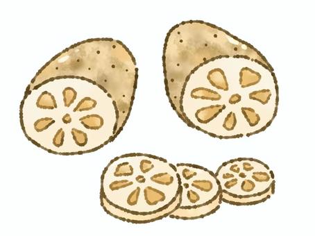 レンコン レンコン レンコン,野菜,食材のイラスト素材