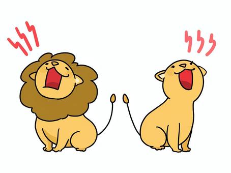 ライオン ライオン,ゆるい,動物,哺乳類,吠える,オス,メス,座るのイラスト素材