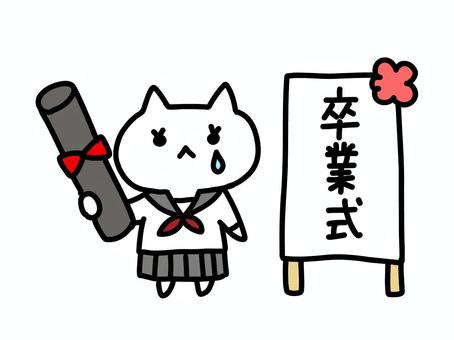 卒業式の看板とねこ女 卒業式の看板とねこ女 猫,白猫,可愛いのイラスト素材